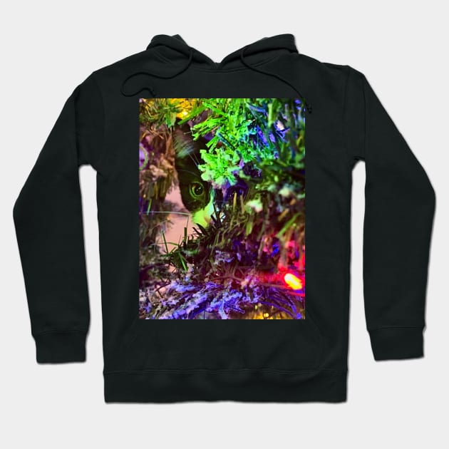 I spy in a tree a kitten Hoodie by aadventures